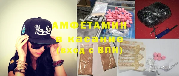 гидра Рославль