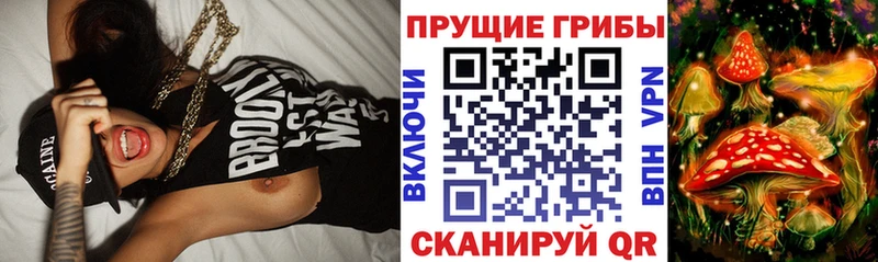 Галлюциногенные грибы GOLDEN TEACHER  сколько стоит  Невьянск 